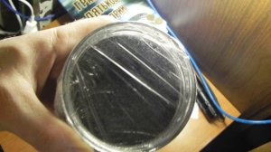 Ура появился первый росток Выращивание японской сосны бонсай Bonsai 14  дней с момента посадки