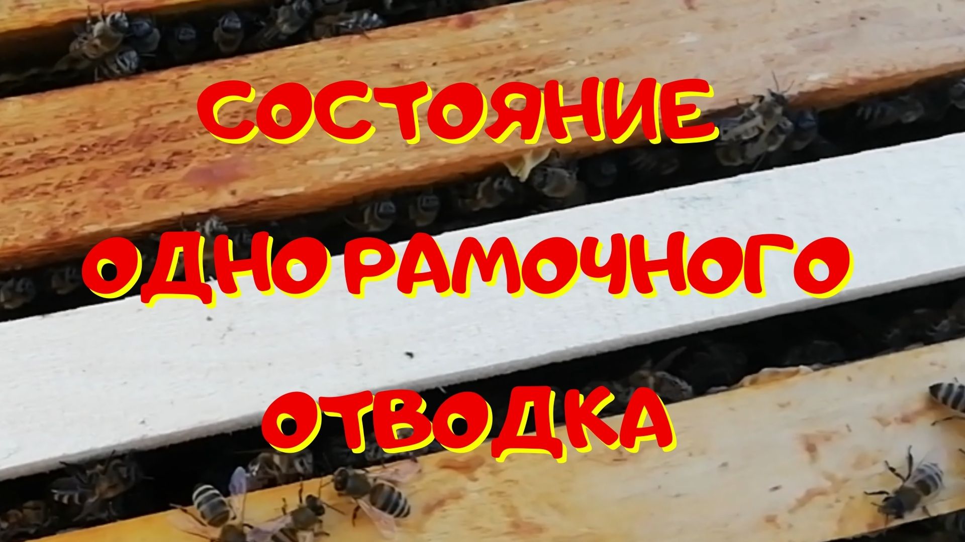 Проверка состояния отводка - Состояние одно рамочного отводка смотреть онлайн