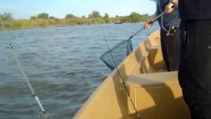 рыбалка в Астрахани! 2018г. сентябрь. поселок Вышка. база Щукарь.