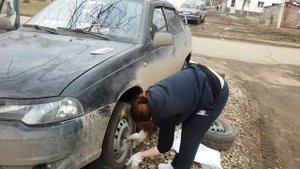 Девушка меняет колесо