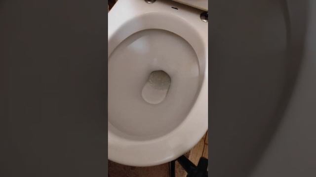 Быстро удаляю воду в унитазе и чищу донные отложения.