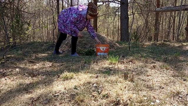 Как создать Искусственные Холмы на Дачном участке Геопластика своими руками смотреть онлайн