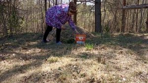 Как создать Искусственные Холмы на Дачном участке Геопластика своими руками