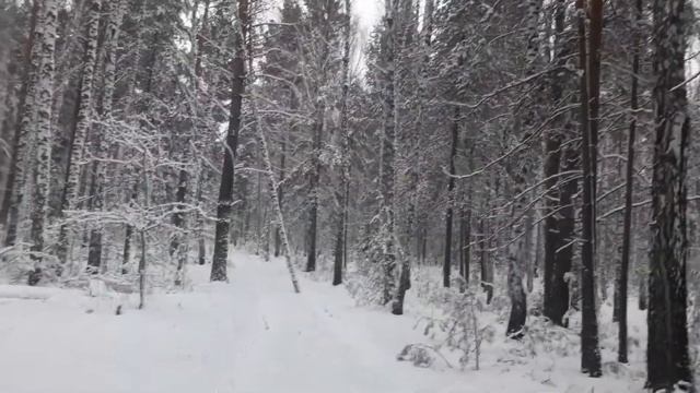 6 ноября. «Всех Скорбя́щих Ра́дость» наименование иконы Богородицы. смотреть онлайн