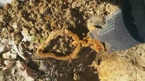 Коп в Карпатах. Искали старую дорогу и нашли интересные находки.Коп по Австрии.Нашли гелеры и совет