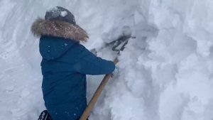 Тема и Папа строят Башню/туннель из снега.