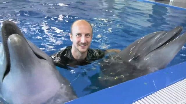 Как подружиться с Дельфином смотреть онлайн