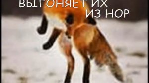 ДЕКАБРЬ для детей