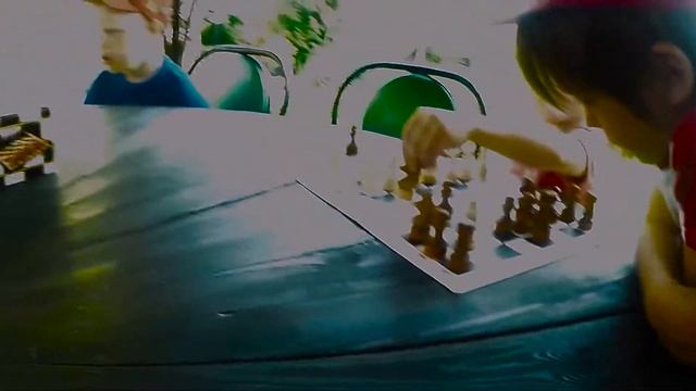 Сборы по шахматам смотреть онлайн