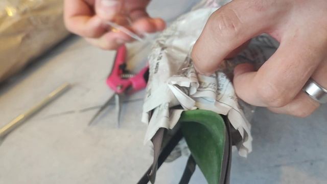 Распаковка в две руки. Отличные орхидеи пополнили мой подоконник