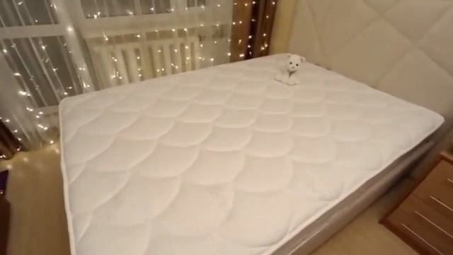 Клиент поделилась отзывом о матрасе Орматек Variant S 1000 смотреть онлайн