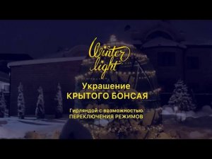 Украшение укрытия бонсая светодиодной сетью Winter light