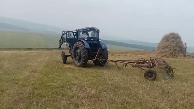 Сенокос в полном разгаре смотреть онлайн