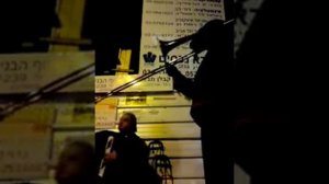 street music tel aviv Уличный музыкант(баян и тромбон)