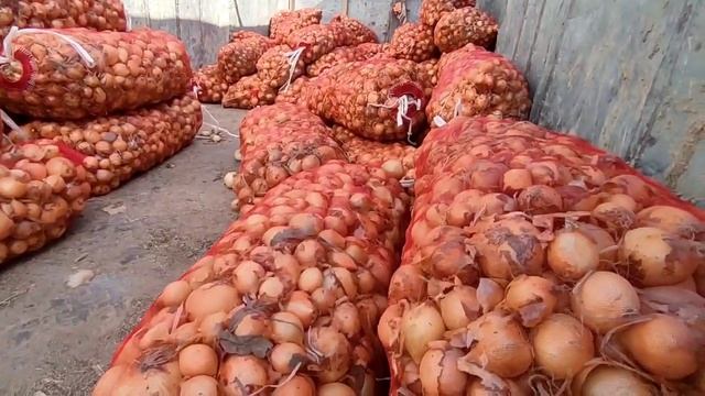 ШАНБЕ БОЗОР ТАРВУЗ НАРХЛАРИ МАРХАМАТ КАНАЛГА ОБУНА БУЛИШНИ УНИТМАНГ