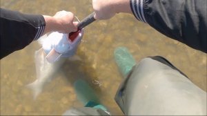 We Dropped Baits Into 65 Feet of Water (& CHAOS Ensued!)