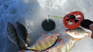 ЛЕД УХОДИТ ПОД ВОДУ! КРУПНЯК ПРЕТ АЖ ЛЕСКА ЗВЕНИТ! ПОШЕЛ ПЛЮС ПОШЕЛ КРУПНЯК!