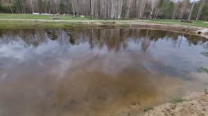 Отличный день на хуторе. Уже высаживаем помидоры и перцы на огород.Кошки заставляют идти на рыбалку