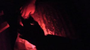 Зимовка пчел в холодном омшанике.