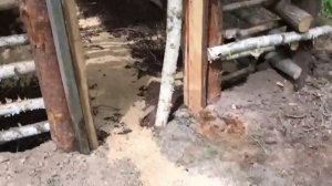 Тест №6 Polaris Ranger 400 (20.06.2017). Перевозка кабана