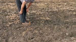 Дисковая борона Veles АН-8 БД