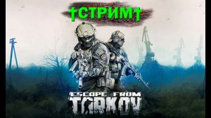 ПОБЕГ ИЗ ТАРКОВА  11 УР.  НОВИЧОК В ИГРЕ