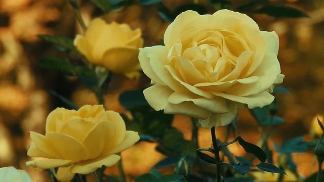 ?Эту музыку можно слушать вечно!Божественная,Непревзойдённая музыка, способная тронуть Сердце!