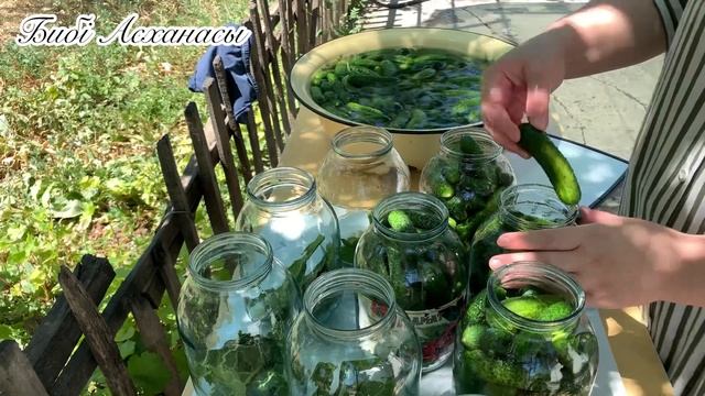 Солёный огурцы на зиму. Домашный вкусный огурцы на Зиму. смотреть онлайн