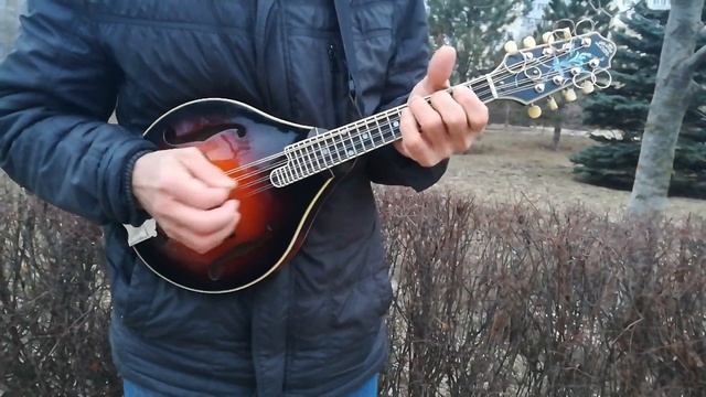 Зажигательная игра на мандолине ? смотреть онлайн