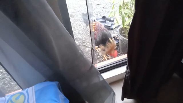 Повседневная жизнь на острове смотреть онлайн