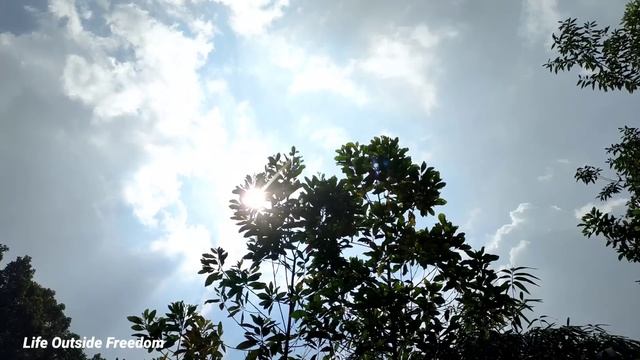 Bring tools to the new farm, Repair the pond bank to move the ducks to a new location /Phuc and Sua смотреть онлайн