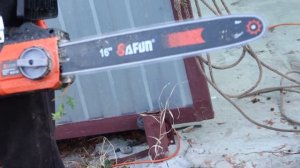 Тую заставили спилить.