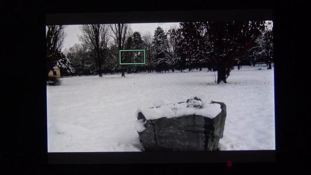 Panasonic Lumix DC-FZ82 - dodatečné zaostření [4K] смотреть онлайн