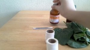 Что делать если укусил комар или насекомое