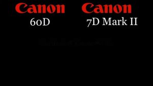 Canon 60D vs Canon 7D Mark II