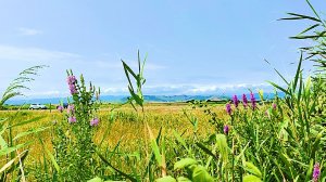 Из Дербента в горы на автомобиле