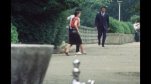 太陽にほえろ! 第413話 エーデルワイス