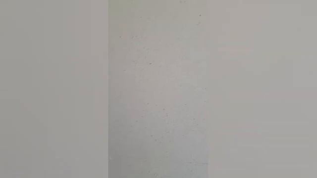 Чем шпаклевать, грунтовать ГВЛ ? смотреть онлайн