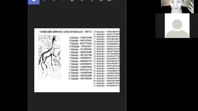 30-6 Anzahl der Sterne Konstellation Giraffe_Числа звёзд Созвездие Жираф