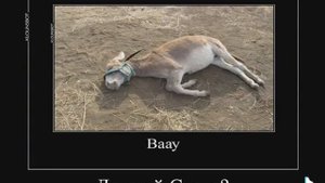 КУКИ А ЧТО ТЫ МНЕ ПОДАРИШЬ НА НОВЫЙ ГОД?