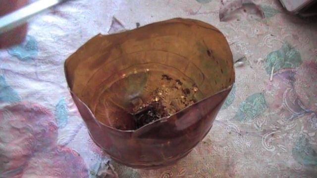 Полиморфные гранулы