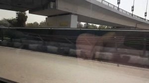 Трэш-досмотр в аэропорту Каира