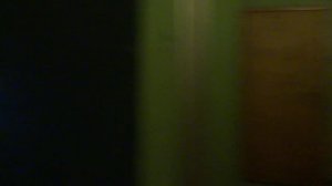 Электрический лифт (г. Дзержинский), V=1 м-с, г-п 320 кг (3)