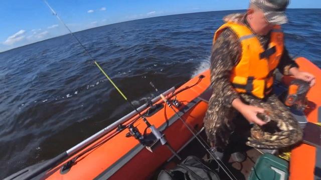 ЩУКА И СУДАК НА ТРОЛЛИНГ НА ЛАДОЖСКОМ ОЗЕРЕ В КРЕНИЦАХ. РЫБАЛКА НА ЛАДОГЕ 2023 С ЛОДКИ НА ТРОФЕЙНОГ
