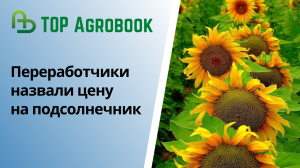 Переработчики назвали цену на подсолнечник. TOP Agrobook: обзор аграрных новостей