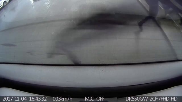 Бараны в городе! Осторожно! смотреть онлайн