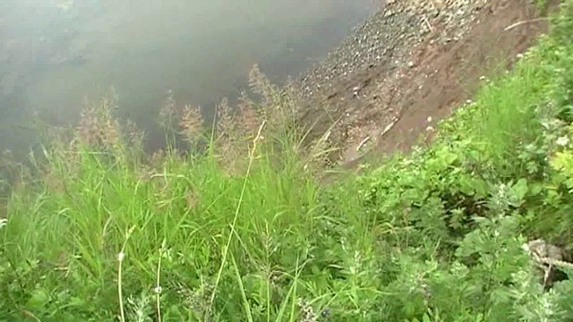 Вышел прогуляться . . .