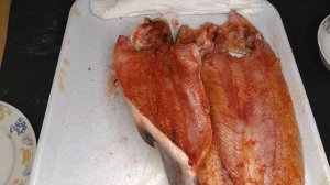 ЛЕНОК холодного копчения в электростатической коптильне уэк