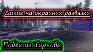 ХОДИМ ПО КРАЮ РАЗВЯЗКИ ✔ Побег из Таркова стрим