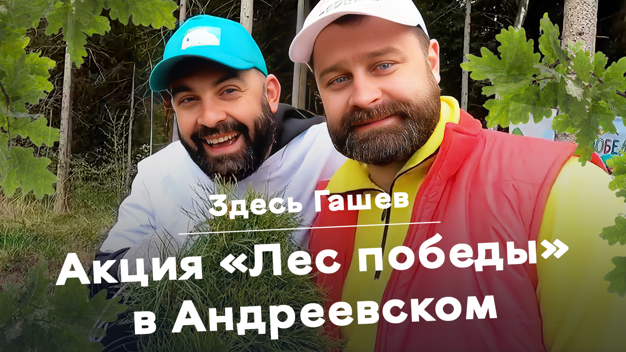 Здесь Гашев. Акция «Лес победы» в Андреевском.